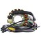 Rmstator Stator for Honda TRX 450 R TRX 450 ER TRX 450 Sportrax 2006-2014 RM01316 - alternate 4